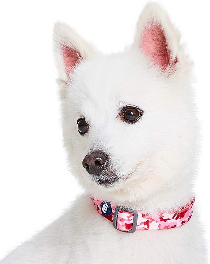 Blueberry Pet Essentials Pink Camo Print Camouflage Adjustable Dog Collar, Small, Neck 12"-16"
