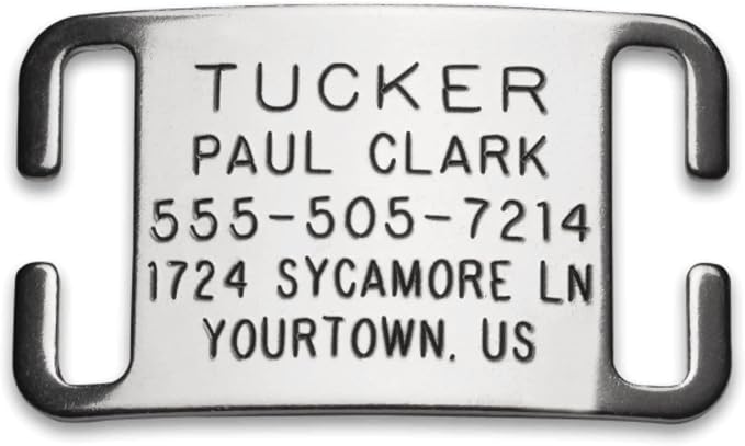 Boomerang Tags Dog Tags Engraved for Pets - Lasts Your Pets Lifetime - Silent Pet Tag, Dog Name Tag Personalized, Durable Stainless Steel Custom ID (Open End Large for 1 Inch Snap Style Collars)