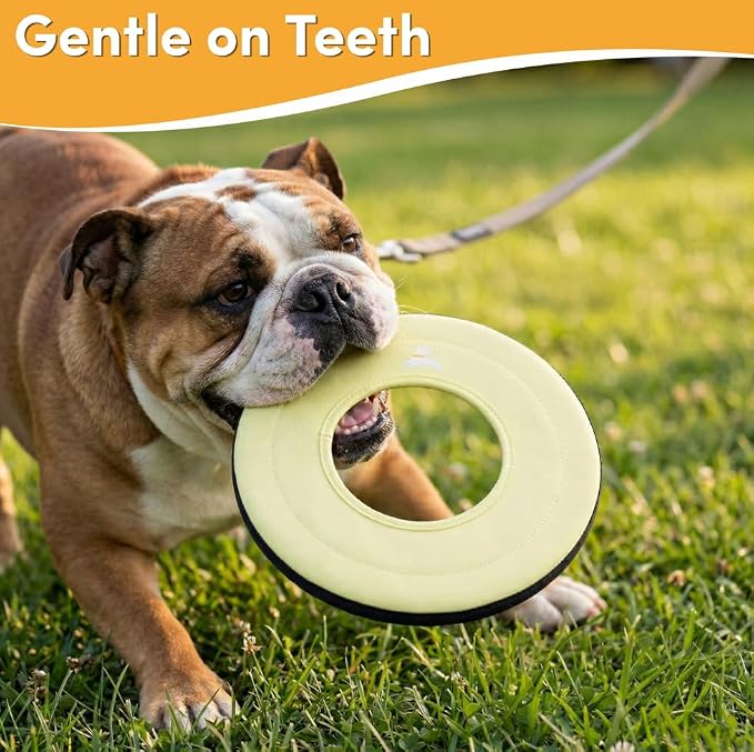 OllyDog Super Flyer Dog Flying Disc – Floating Fetch Toy for Water Play, Soft Eco-Friendly Recycled Fabric, Gentle on Teeth, 11" for Medium & Large Dogs (Sol, 11")