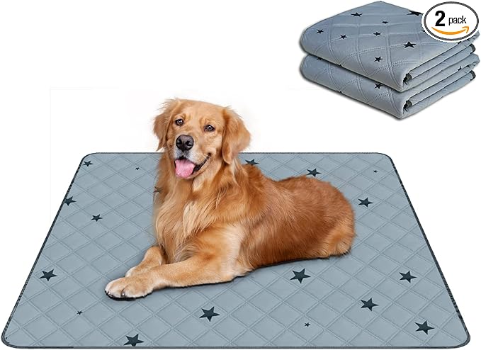RIOUSSI Reusable Pee Pads for Dogs, Puppies. Washable, Absorbent, Leakproof | Soft Material | Non-Slip Bottom | Ideal for Dog Potty Training | Gray Stars, 31"x36", 2-Pack