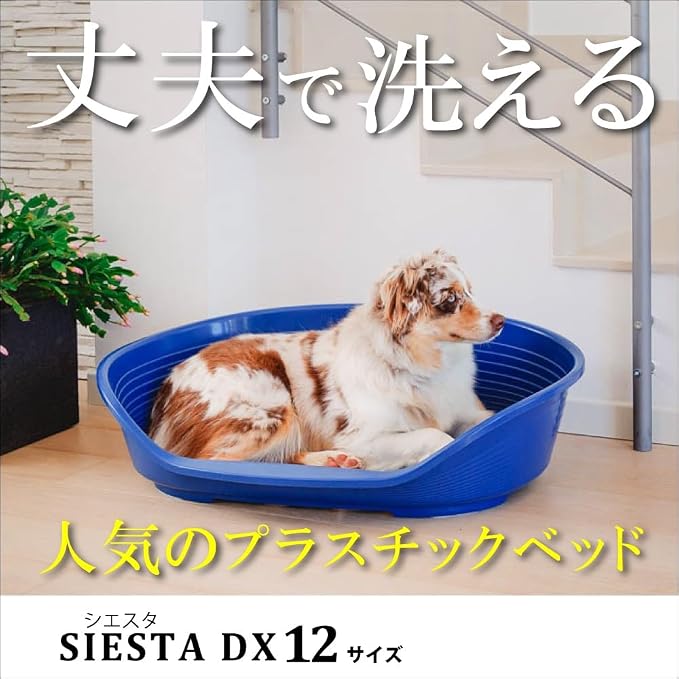 Ferplast Cat Bed, Plastic Dog Bed Extra Large, Ventilation Holes and Non-Slip Rubber Feet for Added Stability 111 x 80,5 x h. 33,5 cm. White