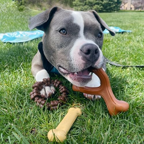 Nylabone Power Chew Customer Favorites Dog Chew Toys, 3 Count, Small