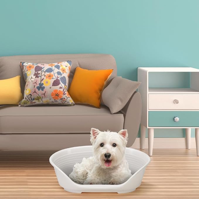 Ferplast Cat Bed, Plastic Dog Bed Small, Ventilation Holes and Non-Slip Rubber Feet for Added Stability 61,5 x 45 x h. 21.5 cm. White