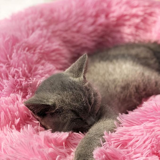 Modern Soft Plush Round Pet Bed for Cats or Small Dogs, Mini Medium Sized Dog Cat Bed Self Warming Autumn Winter Indoor Snooze Sleeping Cozy Kitty Teddy Kennel (20'' D x 8'' H, Hot Pink)
