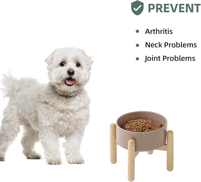 Havniva 6.1inch Ceramic Raised Dog Bowl with Stand, Elevated Dog Bowls for Small and Medium Breed Dog Food and Water Bowl Non-Slip Dog Dish Large Capacity Feeding Pet Water Bowl