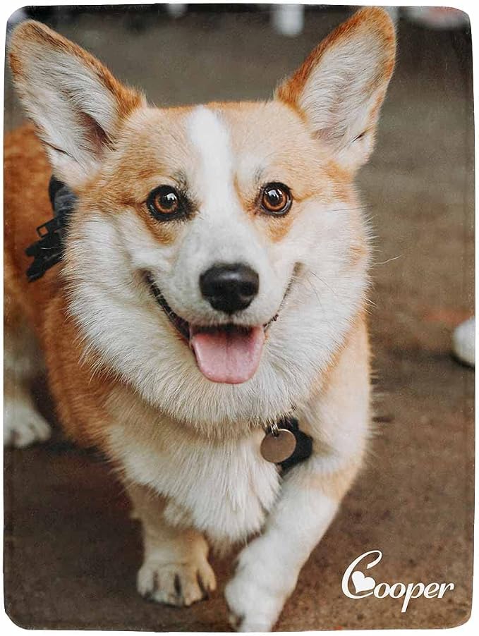 Artsadd Custom Memorial Blanket with Photos and Name-in Loving Memory Gifts Personalized for Loved Ones Lost-Remembrance Blankets for Dogs Cats Pets Lover-One Picture