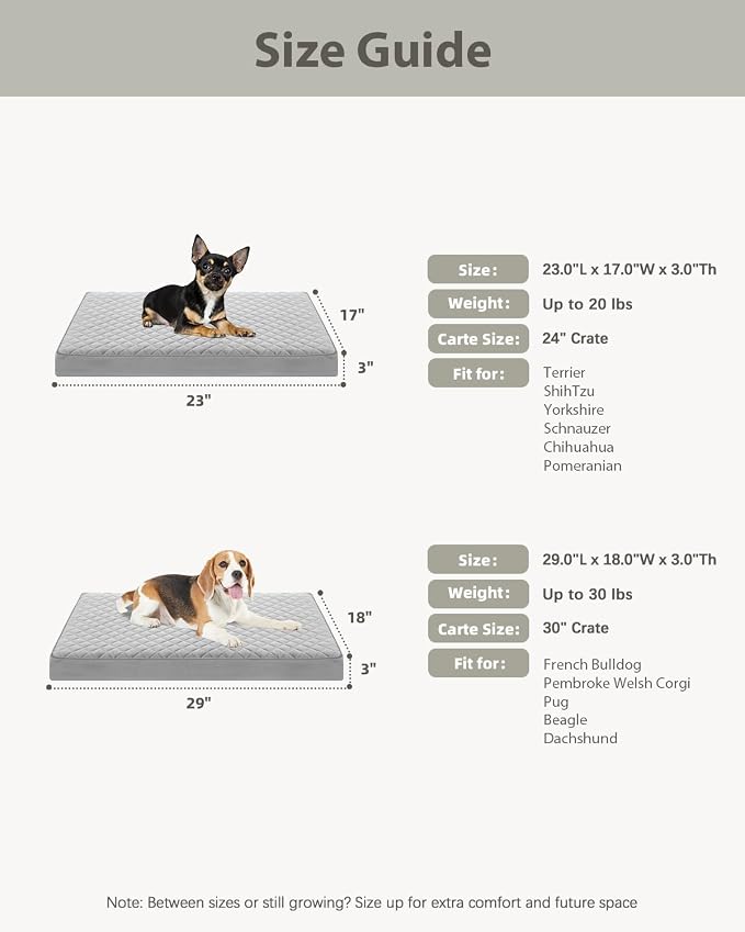 NUPIDA Orthopedic Dog Beds for Small Dogs Waterproof with Removable Washable Cover and Non-Slip Bottom, Quilting Dog Bed for Crate, 23x17 Inch, Light Gray