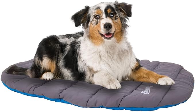 Chuckit! Outdoor Travel Portable Water Resistant Travel Pillow Dog Bed For Medium to Large Dogs 20 to 100 lbs, 39"L x 30"W, Blue