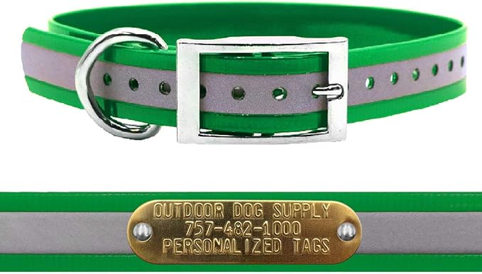 Outdoor Dog Supply 1" Heavy Duty Reflective Waterproof D-Ring Dog Collar for Medium & Large Dogs with 3/4" Custom Brass Nameplate (Reflective Dark Green, 18")