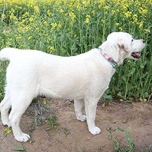 Customized Nylon Dog Collar, Personalized Dog Collar Engraved with Name and Phone Number,Adjustable ID Dog Collar with Quick-Release Buckle (S, Green)