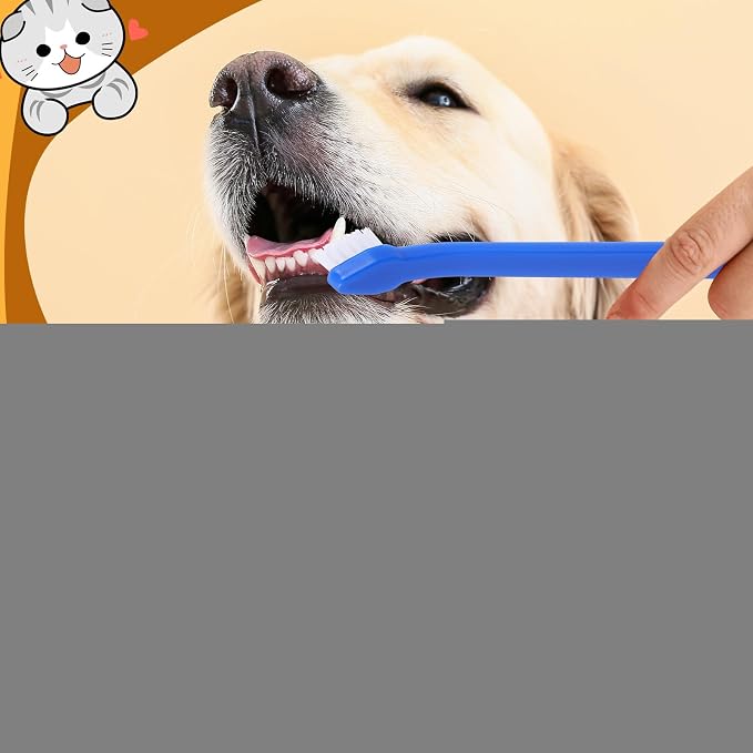 Tioncy 100 Pcs Small Dog Toothbrush Bulk Pack Long Handle Pet Toothbrushes with Soft Bristles, Dental Care Teeth Cleaning Kit for Small Breed Dogs, Cats, and Puppies (Blue)