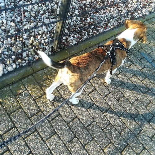 Reflective Dog Leash 2/3/4/6/10ft Braided 1/2" Strong Nylon Rope