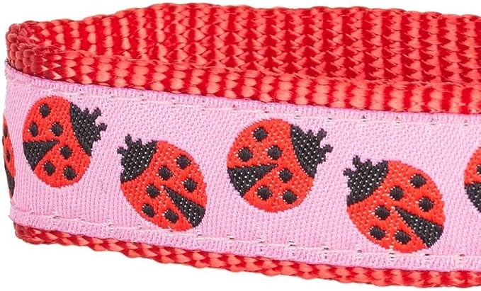 Blueberry Pet Essentials 2 Patterns Durable Pink Webbing Ladybug Designer Dog Leash 4 ft x 1", Large, Basic Nylon Leashes for Dogs