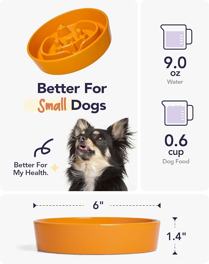 LE TAUCI Ceramic Slow Feeder Dog Bowls Small Breed, 0.6 Cups Dog Food Dish for Fast Eaters, Puzzle Bowl for Dogs and Cats,Pumpkin Orange
