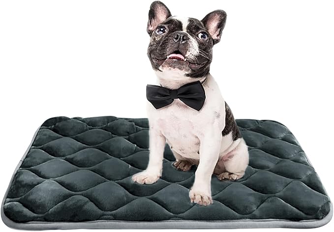 Dog Bed Mat Crate Pad, Anti-Slip Bottom Machine Washable Pet Pad | Thick lightweight mat with anti-slip bottom, machine washable. Ideal for dogs, cats in crates, home & car, XM 36x23'', Grey