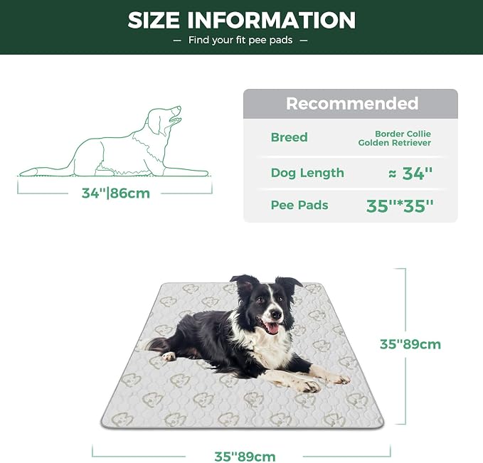 FXW Washable Pee Pads for Dogs, Super Absorbent, 35" Square, 2 Packs | Machine washable, Non-slip backing
