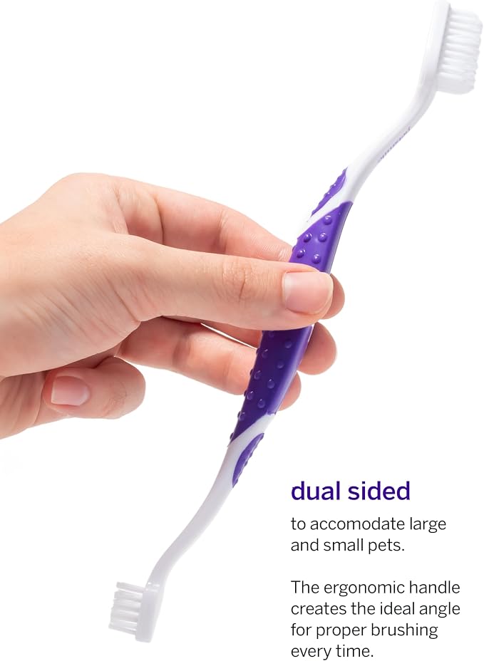 Petsmile Professional Pet Teeth Brushing Kit for Cats & Dogs - VOHC Accepted Toothpaste & Patented Toothbrush - Proven to Control Plaque & Tartar Calprox Formula (Say Cheese, 4.2 Oz)
