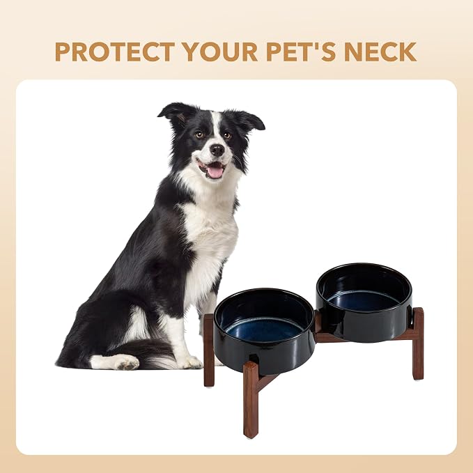 Havniva 7.3" Elevated Dog Bowls Ceramic Raised Dog Bowl with Non-Slip Stand (Acacia Wood) Weighted Dog Food & Water Bowl for Medium Breed Dogs - 5 Cups 41 oz