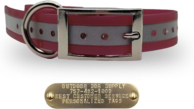 Outdoor Dog Supply 1" Heavy Duty Reflective Waterproof D-Ring Dog Collar for Medium & Large Dogs with 3/4" Custom Brass Nameplate (Reflective Burgundy, 18")
