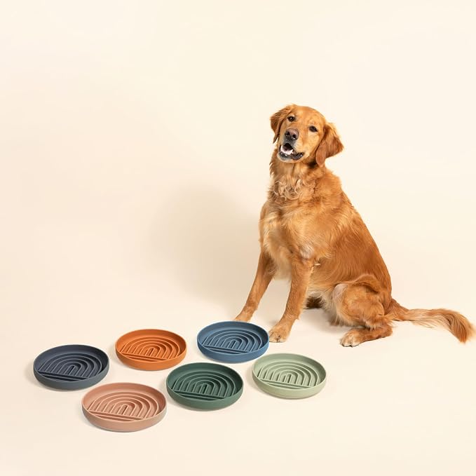 Should We Go? Slow Feeder Dog Bowls - Large Size Silicone Slow Eating Dog Bowl for Puppies & Dogs with Suction Cup -Dishwasher-Safe, Lick Mat Design, Reduces Gulping,for All Breeds,9.5”x1.5”-Charcoal