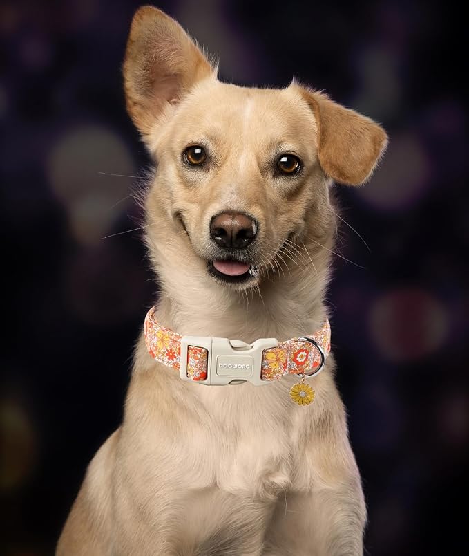 DOGWONG Fall Flower Dog Collar- Cute Flower Dog Collars Adjustable Floral Dog Collar for Girl Female Small Medium Large Dogs XL