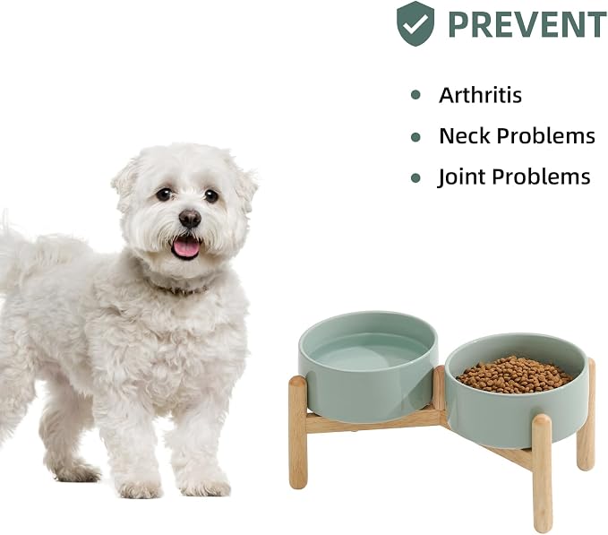 Havniva 6.1inch Ceramic Raised Dog Bowl with Stand, Double Dog Bowls Elevated for Small and Medium Breed Dog Food and Water Bowl Set Non-Slip Dog Dish Large Capacity Feeding Pet Water Bowl