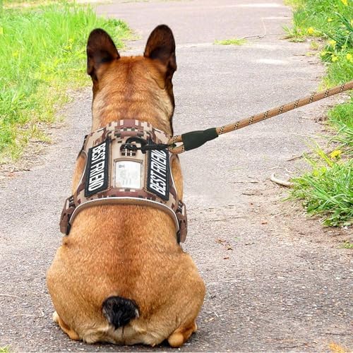 Beebiepet Heavy Duty Tactical Dog Harness for Small Dogs, No Pull Adjustable Pet Harness Reflective Service Training Easy Control Pet Vest Military K9 Working Dog Harnesses- Medium, Desert Camo