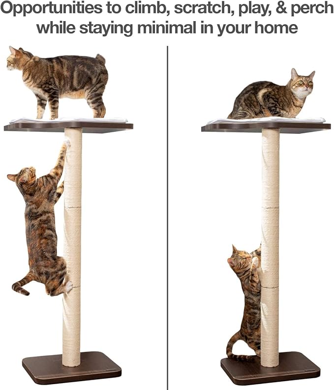 PetFusion Ultimate Cat Window Climbing Perch 45” Tall (Tree Sisal Scratching Posts, Modern Design Simply Suctions to Window. (EASY TO ASSEMBLE) | Tree Sisal Scratching Posts, Modern Design Simply Suctions to Window, Easy to Assemble