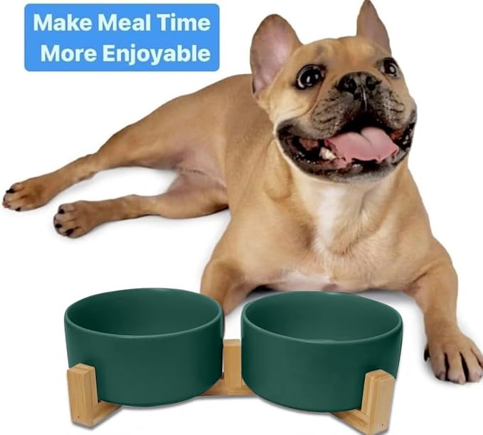Ceramic Cat and Small Dog Bowl Set – Modern Indoor Small Size Pet Food and Water Bowls with Wood Stand – Non Slip Puppy Sized Feeding Station with Double Dishes (Green)
