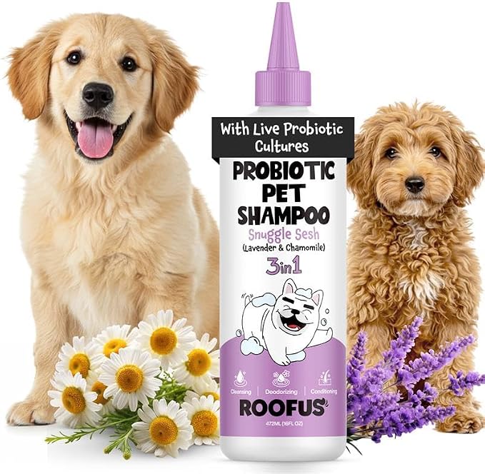 Anti Itch Dog Shampoo & Conditioner, Lavender for Dogs | Probiotic Hypoallergenic Formula - Snuggle Sesh Lavender Scent - Itchy Skin Relief for Smelly Dogs - 3-in-1 Conditioner