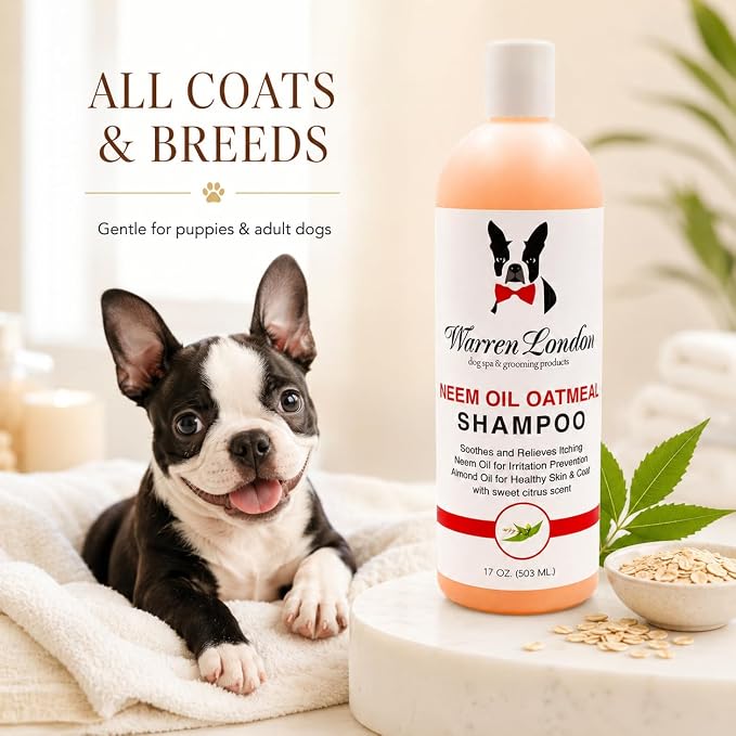 Warren London Neem & Oatmeal Dog Shampoo, 8:1 Concentrate, 1 Gallon