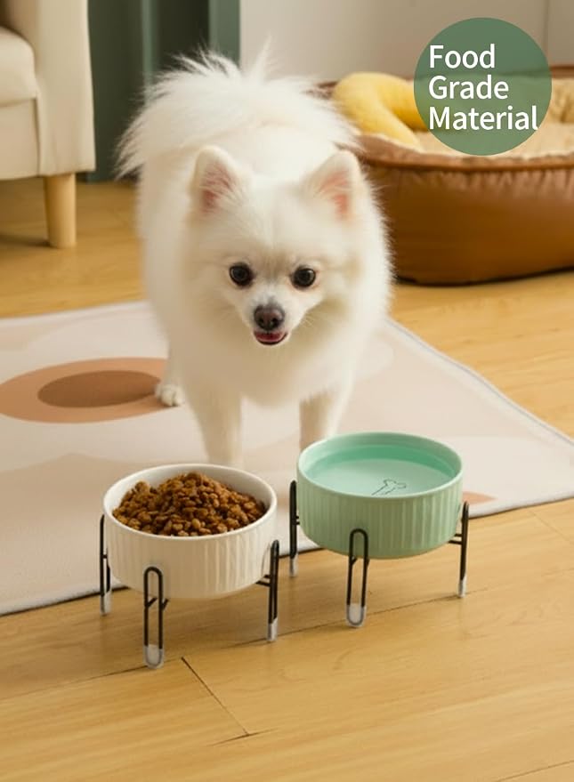 32 OZ Ceramic Dog Bowls with Metal Stand, 6.5 Inch Pet Food Water Bowl Set | Raised Pet Food Water Dish, 2 Heights, for Cats & Dogs, Prevent Neck Fatigue, White & Green