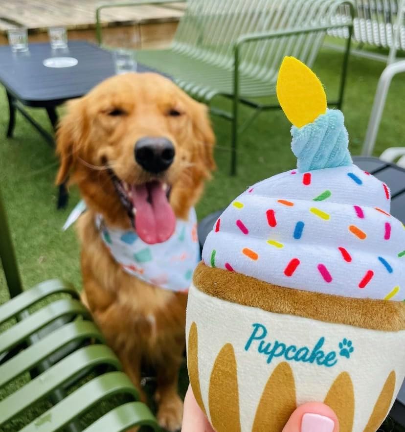 Nestpark Dog Birthday Toy - Pup Cake Puppy Cupcake Plush Squeak and Crinkle Gift (Pack of 2)