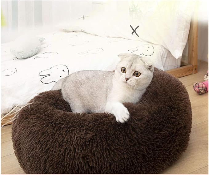 Modern Soft Plush Round Pet Bed for Cats or Small Dogs, Mini Medium Sized Dog Cat Bed Self Warming Autumn Winter Indoor Snooze Sleeping Cozy Kitty Teddy Kennel (24'' D x 8'' H, Chocolate)