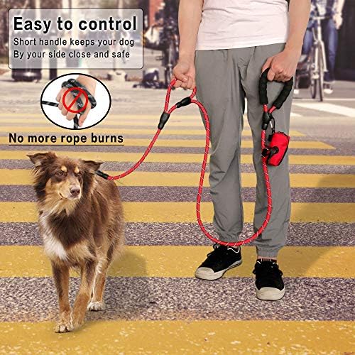 Plutus Pet Rope Dog Leash with Double Handles, 6 FT Long, Reflective