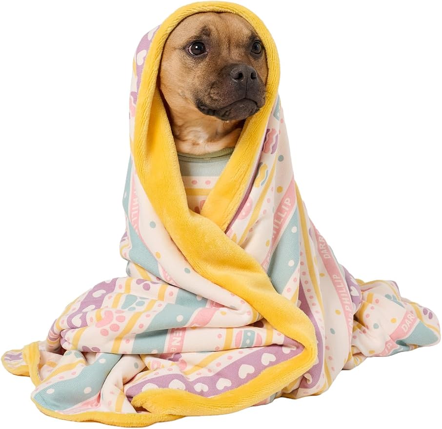 Darren & Phillip Feelin' Eggstra Blanket - Ultra-Soft Blankets Made with Plush Fleece - Perfect as a Dog Bed Blanket or for Cuddling with Your Pup - Ultra-Snuggly Blankets for Dogs & Humans