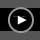 TRUE LOVE Dog Harness No Pull Nylon Reflective Pet Harness Adjustable Comfortable Control Step-in Brilliant Colors Truelove TLH56512 Grass Green