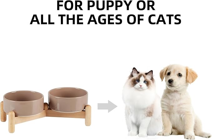 Havniva 5.1inch Ceramic Raised Dog Bowl with Stand, Double Dog Bowls Elevated for Small Breed Dog Food and Water Bowl Set Non-Slip Dog Dish Large Capacity Feeding Pet Water Bowl