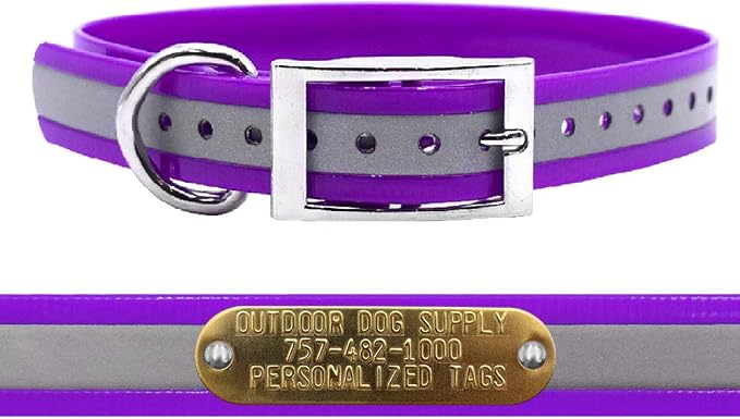 Outdoor Dog Supply 1" Heavy Duty Reflective Waterproof D-Ring Dog Collar for Medium & Large Dogs with 3/4" Custom Brass Nameplate (Reflective Purple, 21")