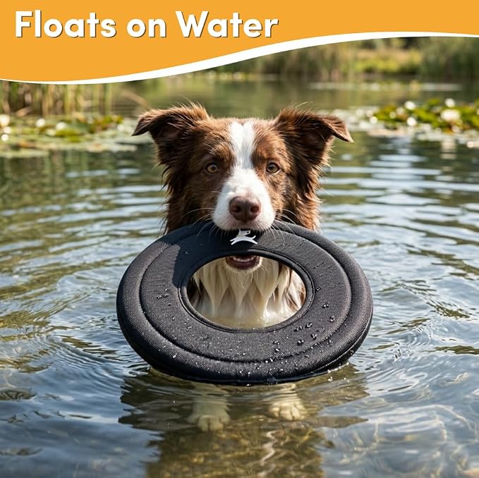 OllyDog Super Flyer Dog Flying Disc – Floating Fetch Toy for Water Play, Soft Eco-Friendly Recycled Fabric, Gentle on Teeth, 11" for Medium & Large Dogs (Raven, 11")