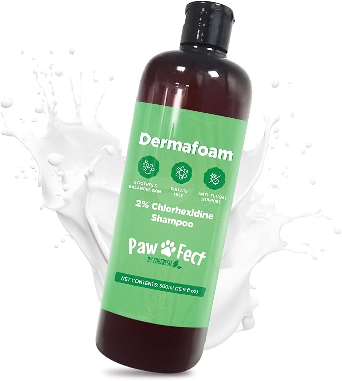 Pawfect DermaFoam Pet Shampoo Deep Cleansing for Greasy Coats & Deodorizing | A Canadian Company, Sulfate Free Moisturizing Formula with Aloe Vera & Bamboo Vinegar | Fresh Cucumber Scent 16.9 Oz