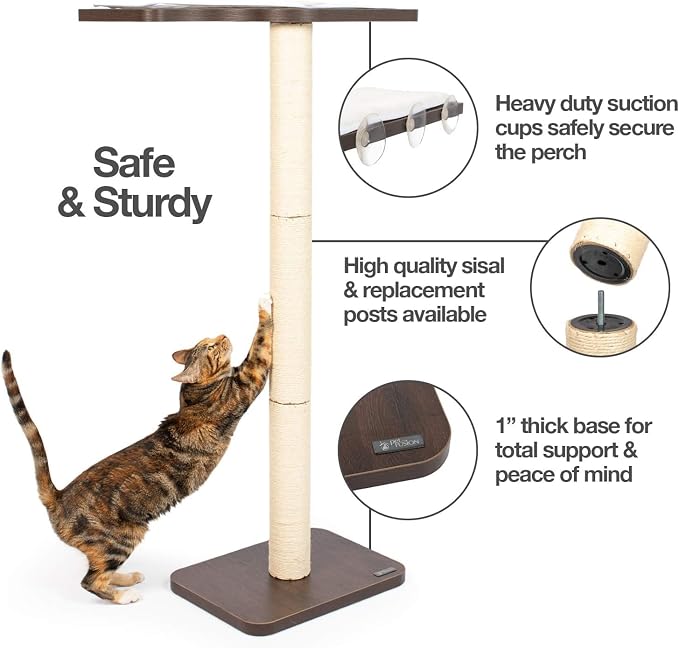 PetFusion Ultimate Cat Window Climbing Perch 45” Tall (Tree Sisal Scratching Posts, Modern Design Simply Suctions to Window. (EASY TO ASSEMBLE) | Tree Sisal Scratching Posts, Modern Design Simply Suctions to Window, Easy to Assemble