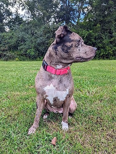 Martingale Dog Collar - Heavy Duty Nylon Adjustable Martingale Dog Collar with Plastic Buckle for Small Medium Large Breeds - 30+ Colors (1 Inch, Extra Large, Hot Pink)