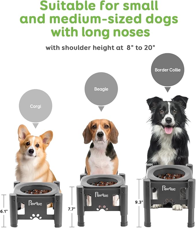 35oz Elevated Slow Feeder Dog Food Bowls with Adjustable Stand | 3 Heights (6.1", 7.7", 9.3"), Raised Dog Bowls for Medium and Small Breed Dogs Cats, Non Slip Rubber & Mess Proof