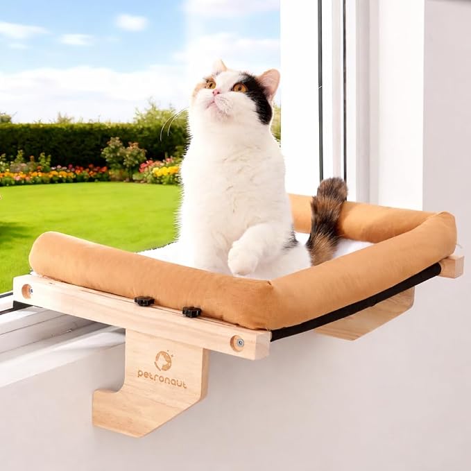 Cat Window Perch + Bonus Toy by Petronaut – Solid Wood, Durable & Easy-Clean, Comfortable Orthopedic Hammock, No Drilling, No Suction Cups, Holds 40 lbs – Window Seat for Large Cats, 21.7"x15"