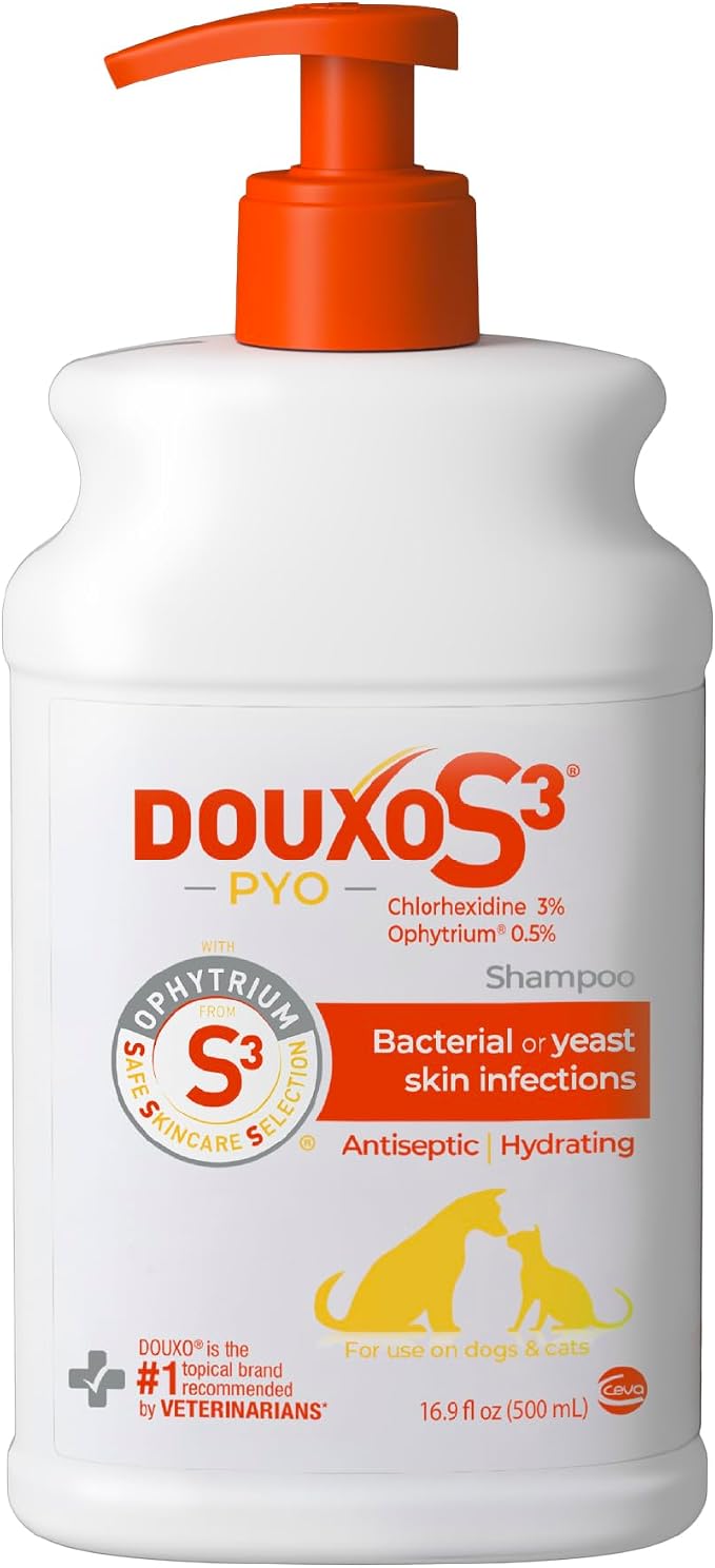 Douxo S3 PYO Chlorhexidine Shampoo For Dogs, Medicated Shampoo Antibacterial & Antiseptic, Yeast Infection Treatment for Dogs & Cats, Clinically Proven, 16.9 fl oz