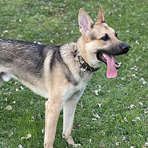 Large Tactical K9 Military Dog Collar - Heavy Duty with Handle, Camo for German Shepherd (Medium, Gray Camo)