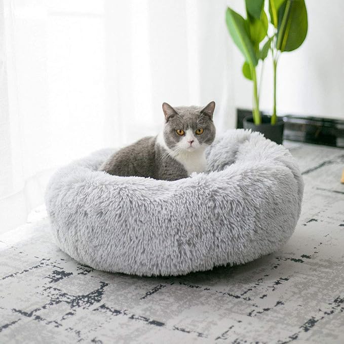 Modern Soft Plush Round Pet Bed for Cats or Small Dogs, Mini Medium Sized Dog Cat Bed Self Warming Autumn Winter Indoor Snooze Sleeping Cozy Kitty Teddy Kennel (24'' D x 8'' H, Light Grey)