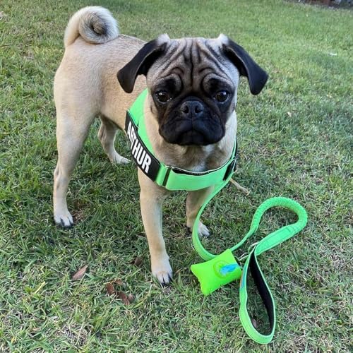 Dog Friendly Co. Poop Bag Holder for Leash, Dog Waste Bag, Premium Burgundy (Burgundy)