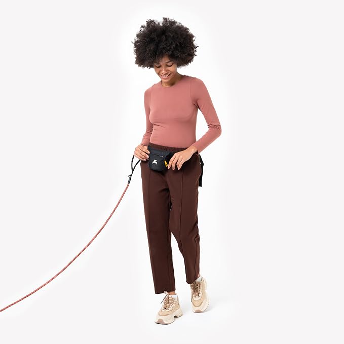 Goodie Treat Bag, Dog Treat Training Pouch | Magnetic Closure | 3 Ways to Wear | Hands-Free Waist Belt | Water-Resistant Recycled Vegan Fabric (Raven S'25)